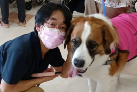 アニマルセラピー